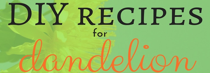 DIY Dandelion Recipes in Fort Wayne IN DIY Dandelion Recipes in Fort Wayne IN