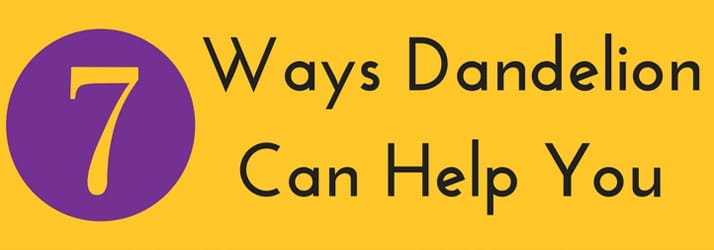 Dandelions May Cure Cancer in Fort Wayne IN Dandelions May Cure Cancer in Fort Wayne IN